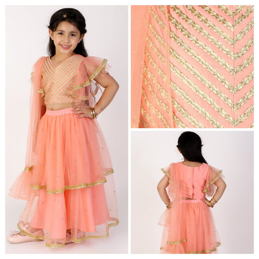 Aura Net frill lehnga- Choli