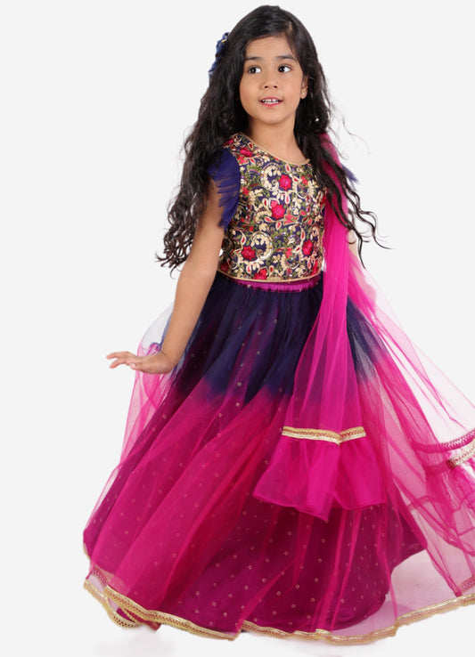 Embroidered floral choli with net lehnga